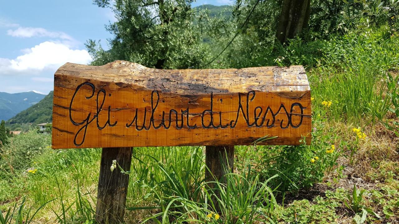 Gli Ulivi Di Nesso别墅 外观 照片